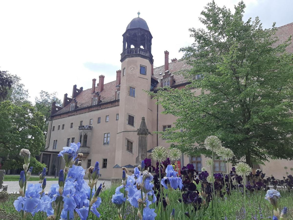 Fewo Rosenbluete Am Stadtpark Wittenberg Екстериор снимка